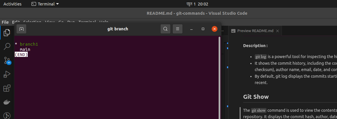 Git Branch